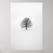 FOTOGRAFIE VAN BOOM POSTER (Voorkant)