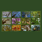 Fotografie van botanische boomkronen kalender