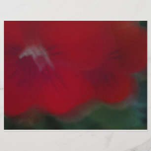 Fotografie van Bright Red Modern Flowers