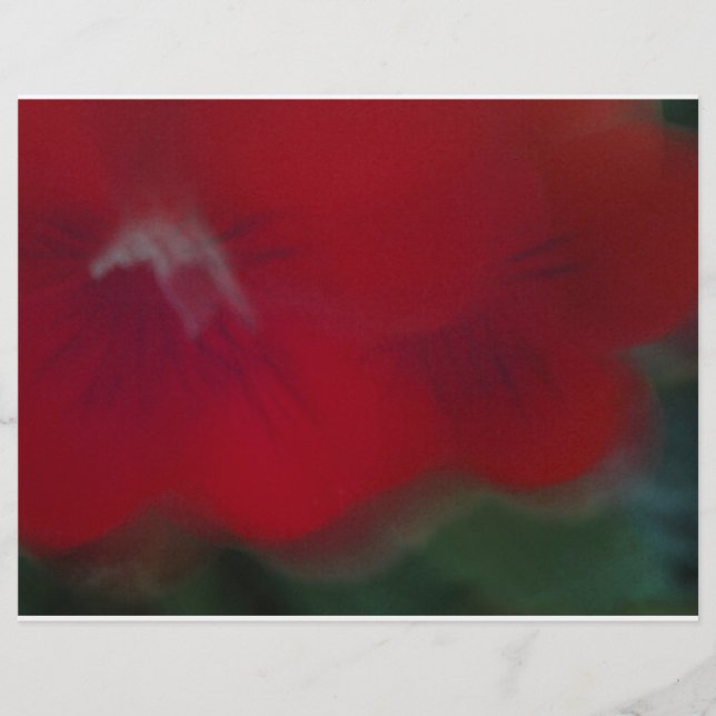 Fotografie van Bright Red Modern Flowers (Voorkant)