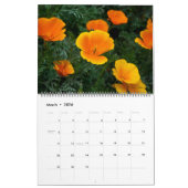 Fotografie van Bryan Fisher 2010 Kalender (Mar 2026)