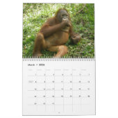 Fotografie van Cute Animal Orangutan Kalender (Mar 2026)