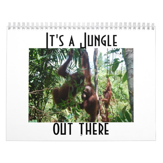 Fotografie van Cute Animal Orangutan Kalender (Hoes)