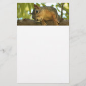 Fotografie van Cute & Curious Squirrel Natuur Briefpapier (Voorkant)