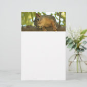 Fotografie van Cute & Curious Squirrel Natuur Briefpapier (Staand voorkant)