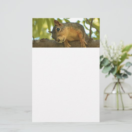 Fotografie van Cute & Curious Squirrel Natuur Briefpapier (Staand voorkant)