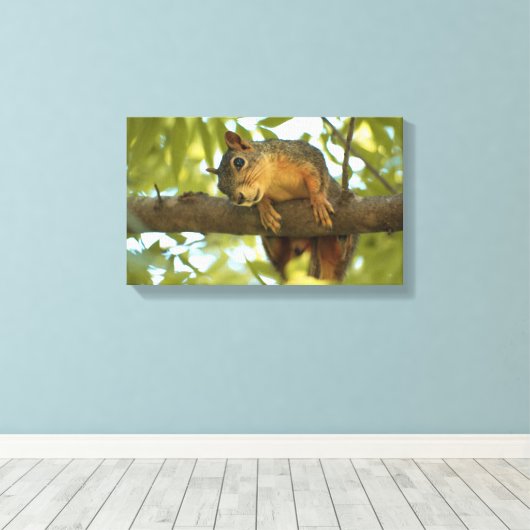 Fotografie van Cute & Curious Squirrel Natuur Canvas Afdruk (Insitu (Houten vloer))