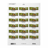 Fotografie van Cute & Curious Squirrel Natuur Etiket (Full Sheet)