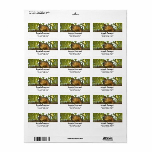 Fotografie van Cute & Curious Squirrel Natuur Etiket (Full Sheet)