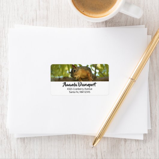 Fotografie van Cute & Curious Squirrel Natuur Etiket (Insitu)