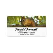 Fotografie van Cute & Curious Squirrel Natuur Etiket (Voorkant)