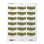 Fotografie van Cute & Curious Squirrel Natuur Etiket (Full Sheet)