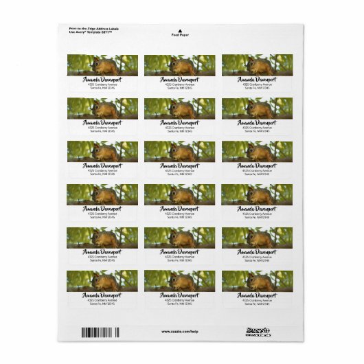 Fotografie van Cute & Curious Squirrel Natuur Etiket (Full Sheet)
