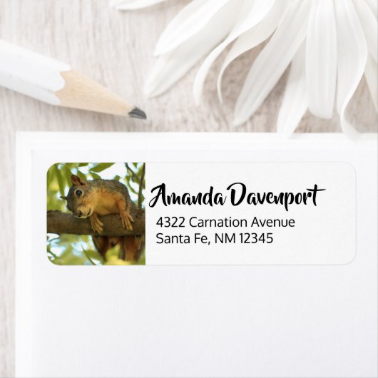 Fotografie van Cute & Curious Squirrel Natuur Etiket (Insitu)