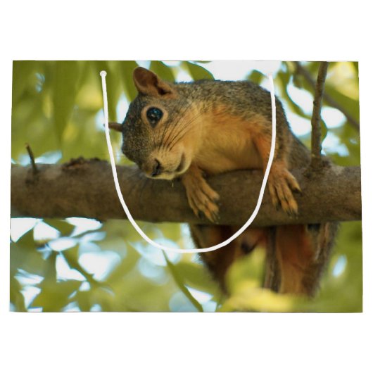 Fotografie van Cute & Curious Squirrel Natuur Groot Cadeauzakje (Voorkant)