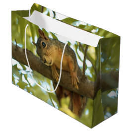 Fotografie van Cute & Curious Squirrel Natuur Groot Cadeauzakje