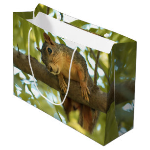 Fotografie van Cute & Curious Squirrel Natuur Groot Cadeauzakje
