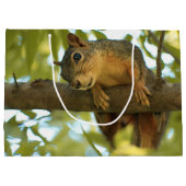 Fotografie van Cute & Curious Squirrel Natuur Groot Cadeauzakje (Achterkant)