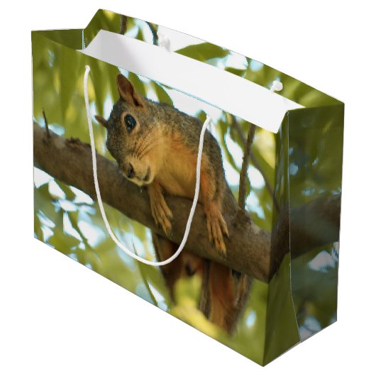 Fotografie van Cute & Curious Squirrel Natuur Groot Cadeauzakje (Achterkant Gekanteld)