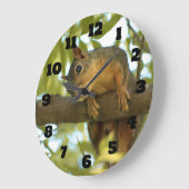 Fotografie van Cute & Curious Squirrel Natuur Grote Klok (Hoek)