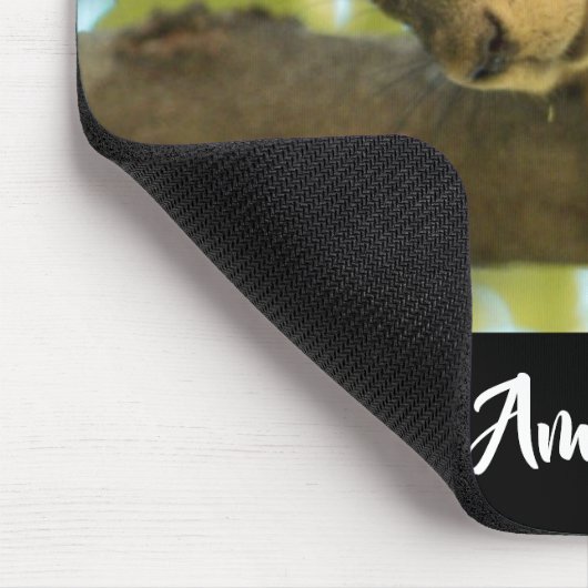 Fotografie van Cute & Curious Squirrel Natuur Muismat (Hoek)