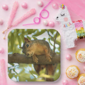 Fotografie van Cute & Curious Squirrel Natuur Papieren Bordje (Feest)