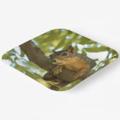 Fotografie van Cute & Curious Squirrel Natuur Papieren Bordje (Gebogen)