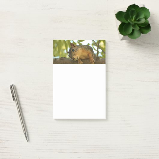 Fotografie van Cute & Curious Squirrel Natuur Post-it® Notes (Kantoor)