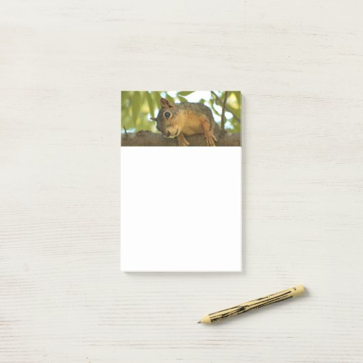 Fotografie van Cute & Curious Squirrel Natuur Post-it® Notes (Op bureau)
