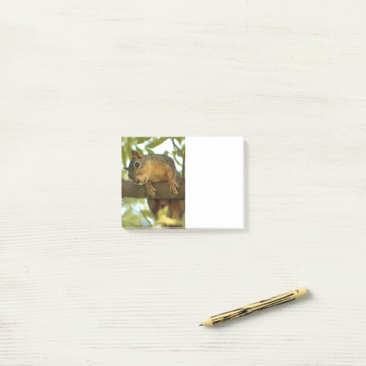 Fotografie van Cute & Curious Squirrel Natuur Post-it® Notes (Op bureau)