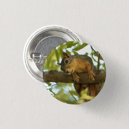 Fotografie van Cute & Curious Squirrel Natuur Ronde Button 3,2 Cm (Voorkant /achterkant)