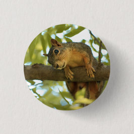 Fotografie van Cute & Curious Squirrel Natuur Ronde Button 3,2 Cm