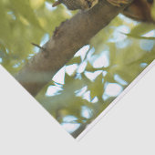 Fotografie van Cute & Curious Squirrel Natuur Tissuepapier (Detail)