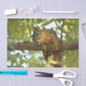 Fotografie van Cute & Curious Squirrel Natuur Tissuepapier (Craft)