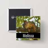 Fotografie van Cute & Curious Squirrel Natuur Vierkante Button 5,1 Cm (Voorkant /achterkant)