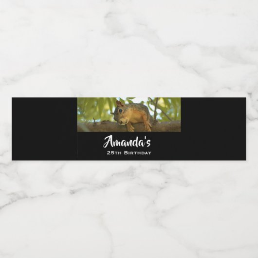 Fotografie van Cute & Curious Squirrel Natuur Waterfles Etiket (Enkel label)