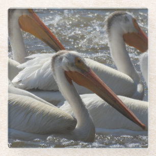 Fotografie van de Amerikaanse White Pelican Natuur Glazen Onderzetter