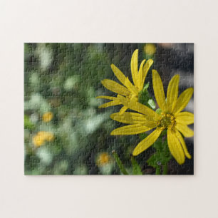 Fotografie van de Gele Daisy Flower Floral Natuur Legpuzzel