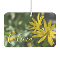 Fotografie van de Gele Daisy Flower Floral Natuur
