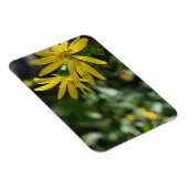 Fotografie van de Gele Daisy Flower Floral Natuur Magneet (Rechterzijde)