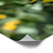 Fotografie van de Gele Daisy Flower Floral Natuur Poster (Hoek)