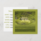 Fotografie van de kunststofplukker in de dikke Nat Kaart (Voorkant / Achterkant)