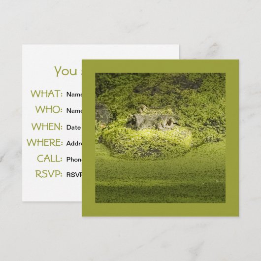 Fotografie van de kunststofplukker in de dikke Nat Kaart (Voorkant / Achterkant)