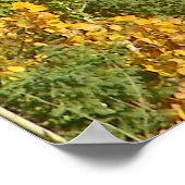 Fotografie van de Natuur Haiku Poster (Hoek)