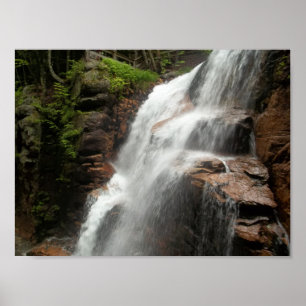 Fotografie van de Natuur van de waterval Poster