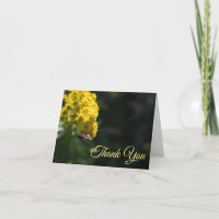 Fotografie van de Natuur van gele bloemen bijen