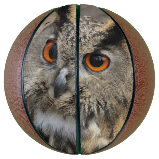 Fotografie van de oliepuil basketbal (Verticaal)