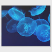 FOTOGRAFIE VAN DE SCHADE VAN JELLYFISH CADEAUPAPIER (Vlak)
