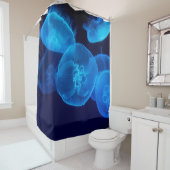 FOTOGRAFIE VAN DE SCHADE VAN JELLYFISH DOUCHEGORDIJN (In situ)