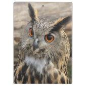 Fotografie van de uil klembord (Achterkant)